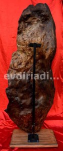 Η φλεγόμενη Και Μη Κατακαιόμενη Βάτος Αγιογραφία Σε Κορμό Δέντρου